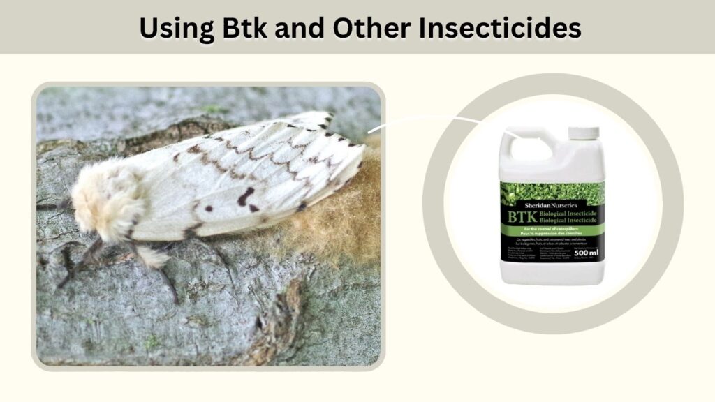 Using Btk and Other Insecticides