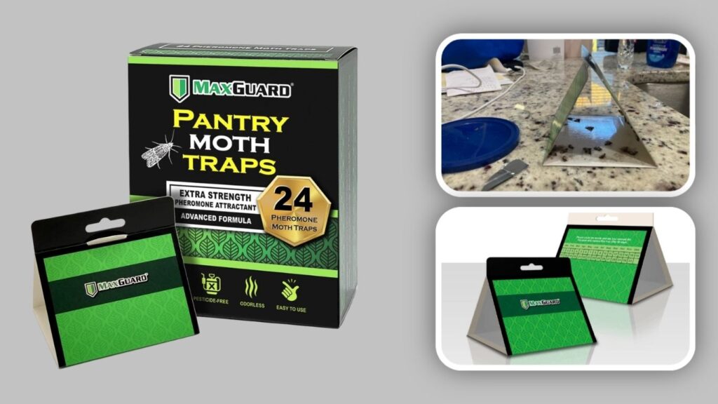 MaxGuard Pantry Moth Traps – 24 Pack