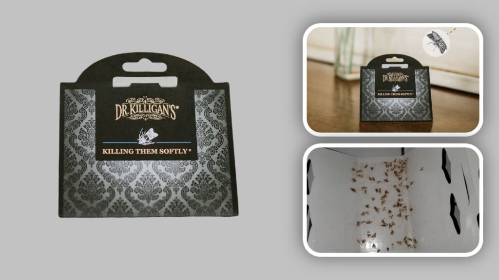 Dr. Killigan’s Premium Pantry Moth Traps – 6 Pack Black