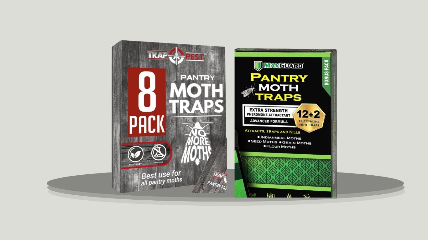 7 Best Pantry Moth Traps for Easy Kitchen Pest Control