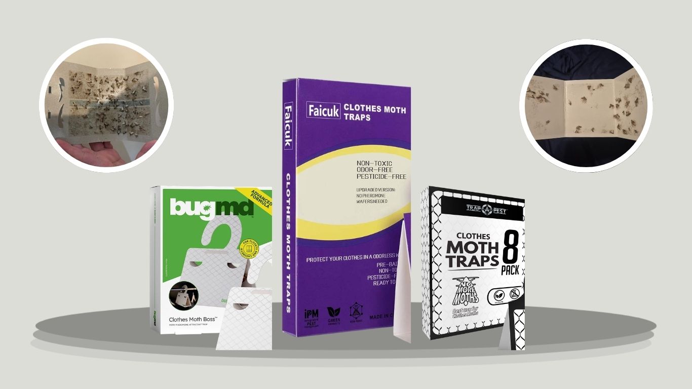 5 Best Clothes Moth Traps for Wardrobes and Closets