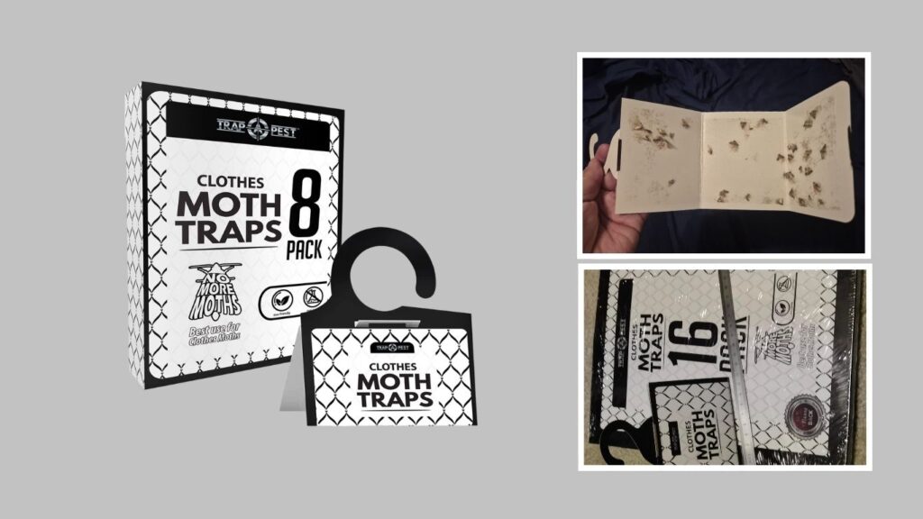  Trap A Pest Clothing Moth Traps