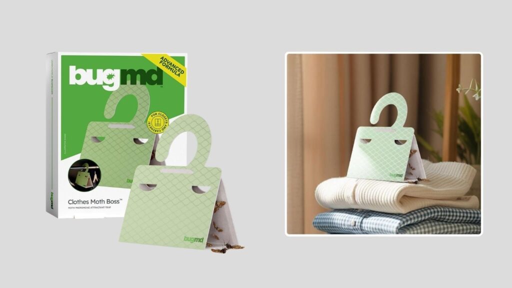  BugMD Clothes Moth Boss Traps