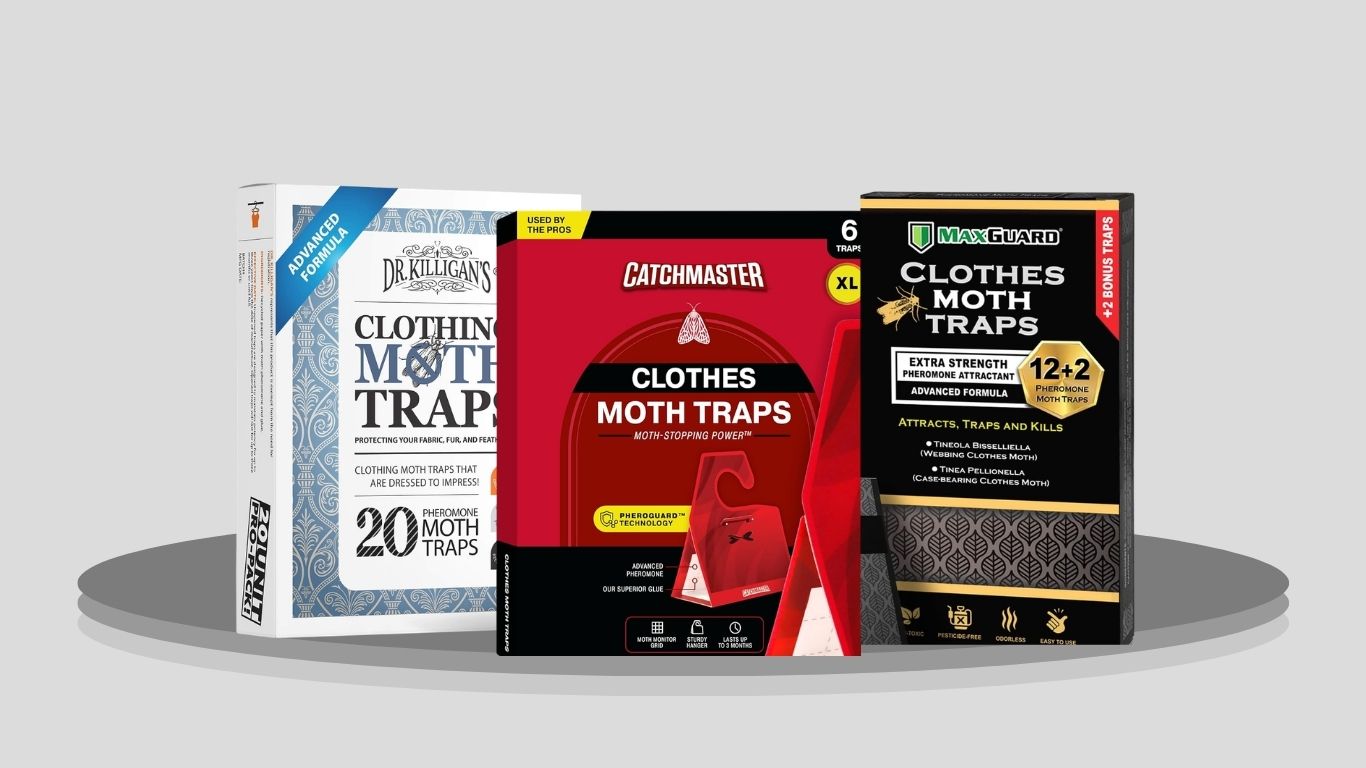 10 Best Moth Catcher Traps for Clothes and Pantry Moths