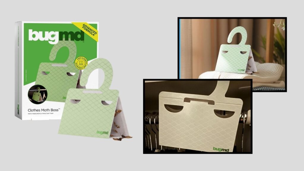 BugMD Clothes Moth Boss Pheromone Traps