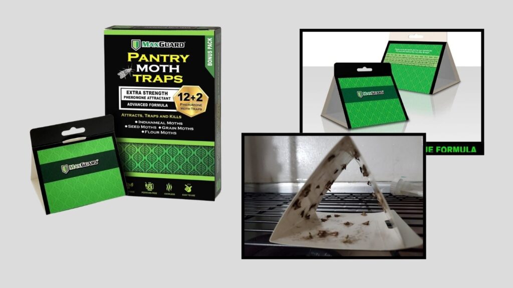 MAXGUARD Pantry Moth Traps with Extra-Strength Pheromones