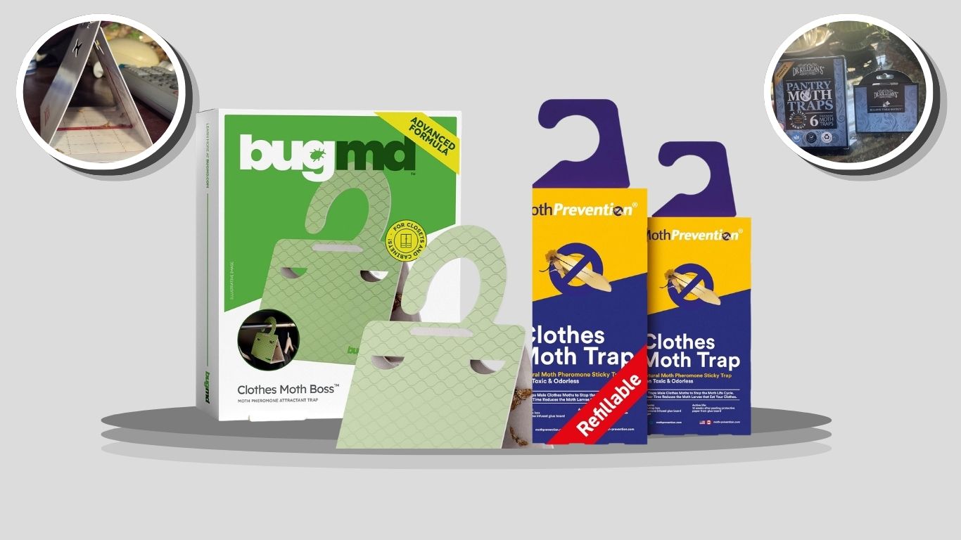 7 Best Pheromone Moth Traps for Effective Moth Control